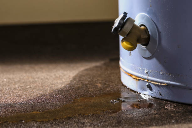 Best Fire Damage Restoration  in Richboro, PA