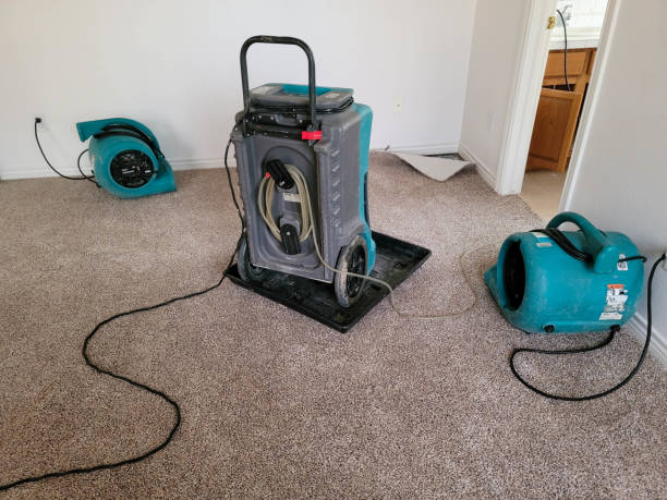 Best Local water damage restoration  in Richboro, PA