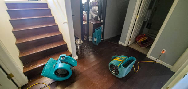 Best 24/7 water damage repair  in Richboro, PA