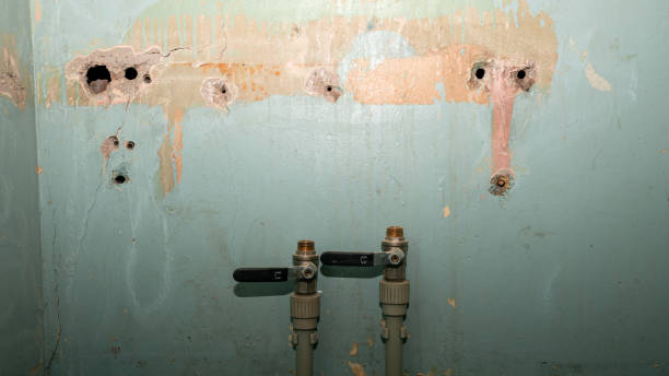 Best Flooded house restoration  in Richboro, PA