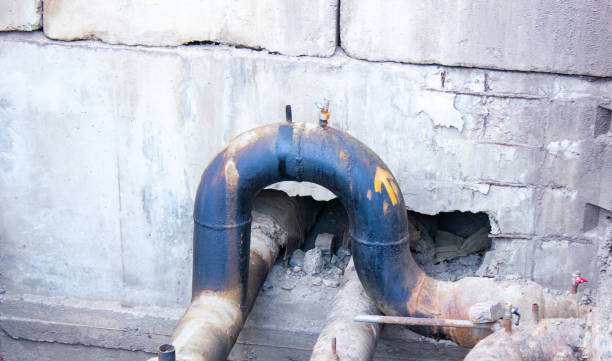 Best Mold removal after water damage  in Richboro, PA